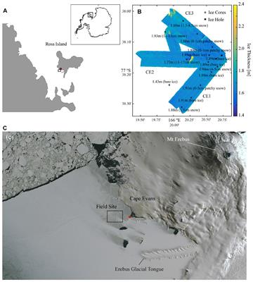 Exploring Spatial Heterogeneity of Antarctic Sea Ice Algae Using an Autonomous Underwater Vehicle Mounted Irradiance Sensor
